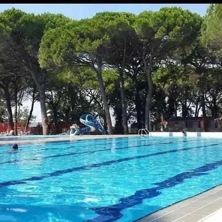 홀리데이파크 Jackson