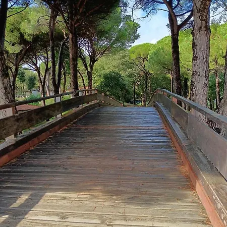 Jackson Belvedere (Friuli Venezia Giulia)