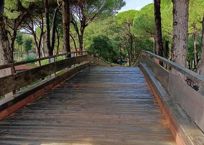 Jackson Belvedere (Friuli Venezia Giulia)